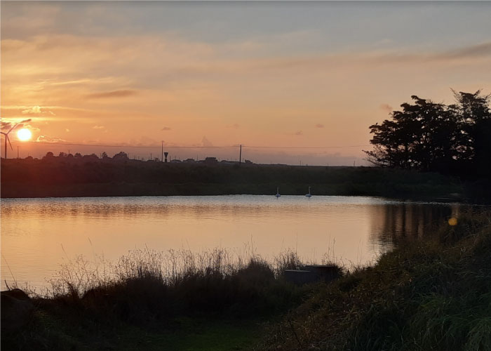 bassin au Marais Chevalier en Vendée