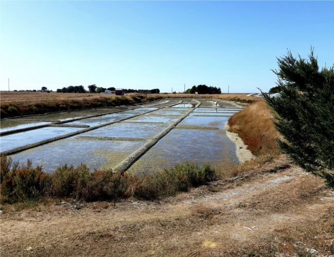 marais salants de Bouin en Vendée